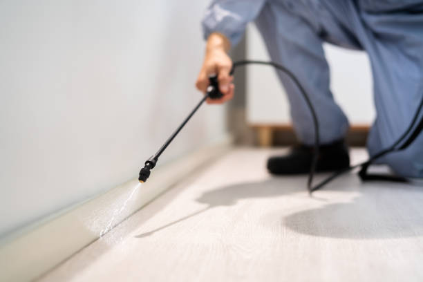 Licensed Termite Control service in Montcalm County County, MI - Nex Pest Control