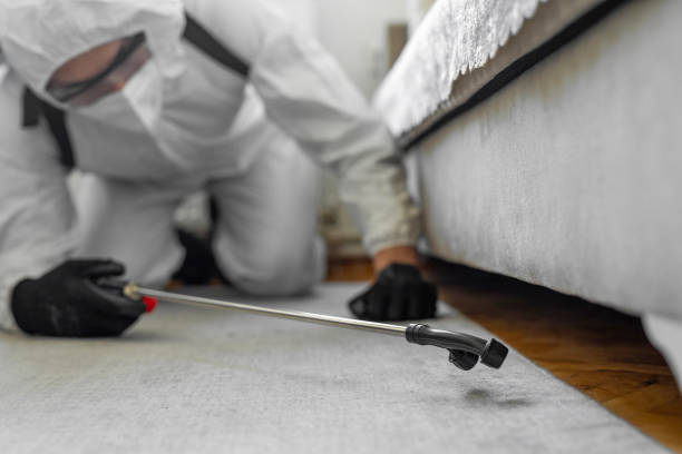 Professional Termite Control technician working in Montcalm County County, MI